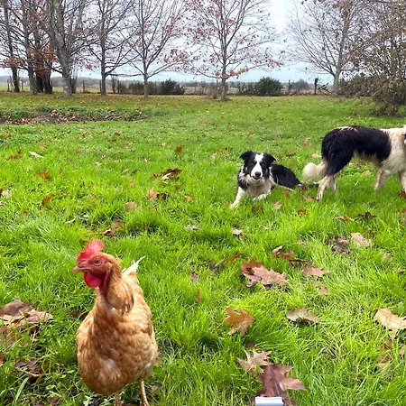 בית נופש Domaine Des Anes - Et Roulotte *