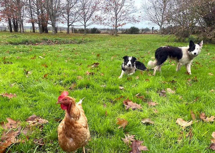 Prázdninový dům Domaine Des Anes - Et Roulotte *